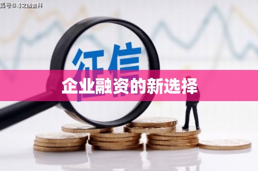 宝兴企业融资的新选择