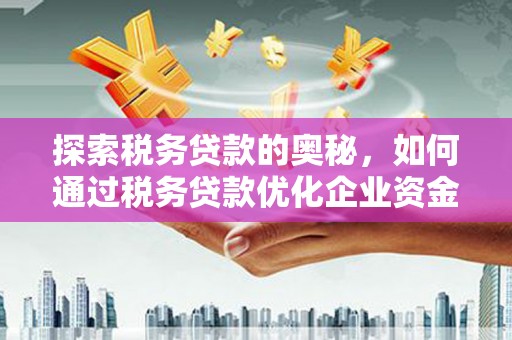 宝兴探索税务贷款的奥秘，如何通过税务贷款优化企业资金流