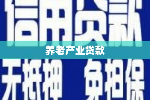 宝兴养老产业贷款