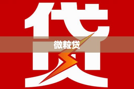宝兴微粒贷