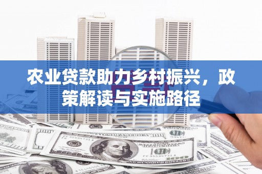 宝兴农业贷款助力乡村振兴，政策解读与实施路径