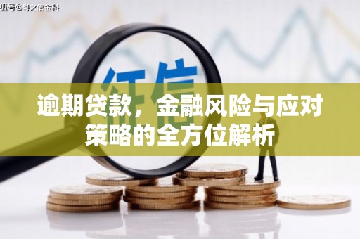 宝兴逾期贷款，金融风险与应对策略的全方位解析