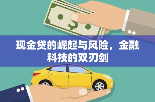 宝兴现金贷的崛起与风险，金融科技的双刃剑