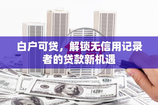 宝兴白户可贷，解锁无信用记录者的贷款新机遇