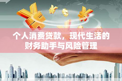 宝兴个人消费贷款，现代生活的财务助手与风险管理