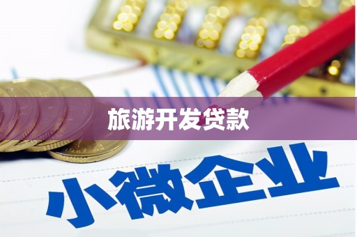 宝兴旅游开发贷款