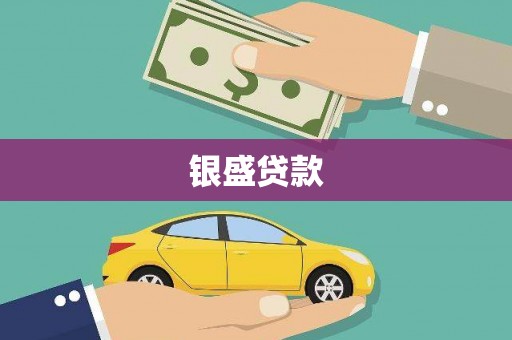 宝兴银盛贷款