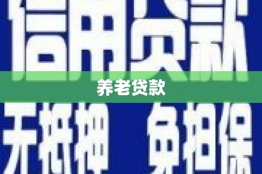 宝兴养老贷款