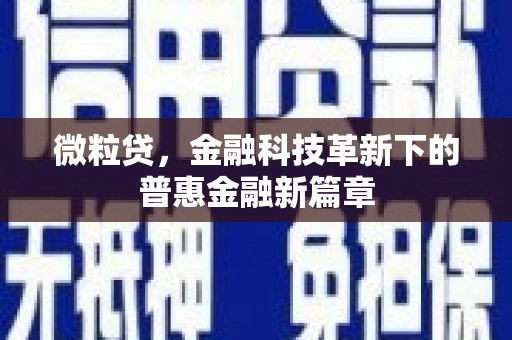 宝兴微粒贷，金融科技革新下的普惠金融新篇章