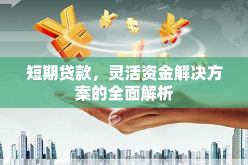 宝兴短期贷款，灵活资金解决方案的全面解析