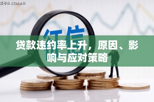 宝兴贷款违约率上升，原因、影响与应对策略