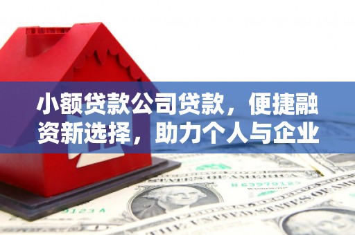 宝兴小额贷款公司贷款，便捷融资新选择，助力个人与企业成长