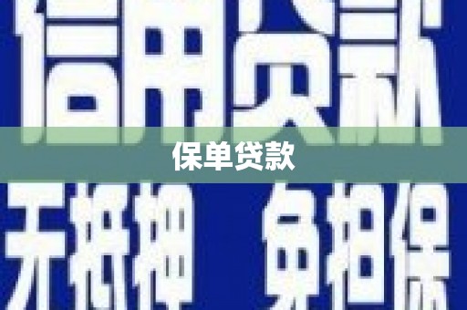宝兴保单贷款