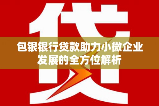 宝兴包银银行贷款助力小微企业发展的全方位解析