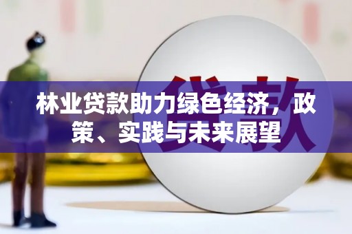 宝兴林业贷款助力绿色经济，政策、实践与未来展望