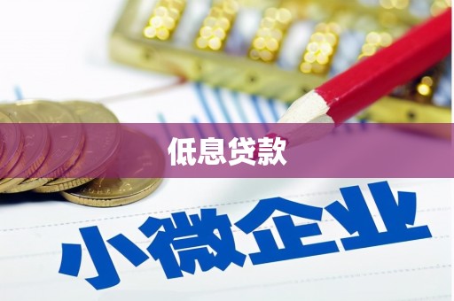 宝兴低息贷款