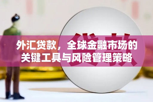 宝兴外汇贷款，全球金融市场的关键工具与风险管理策略