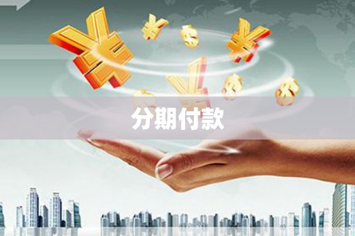 宝兴分期付款