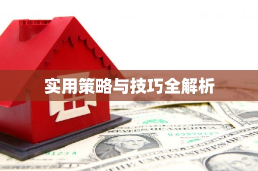 宝兴实用策略与技巧全解析