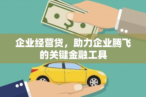 宝兴企业经营贷，助力企业腾飞的关键金融工具