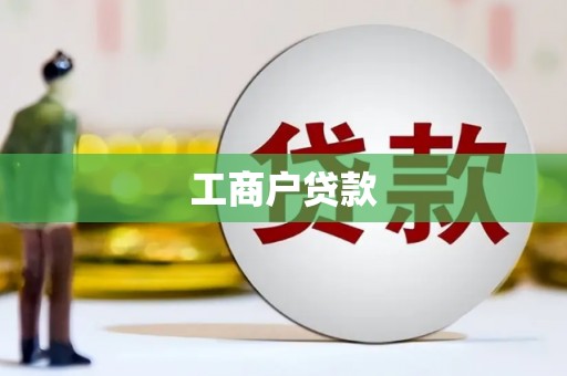宝兴工商户贷款