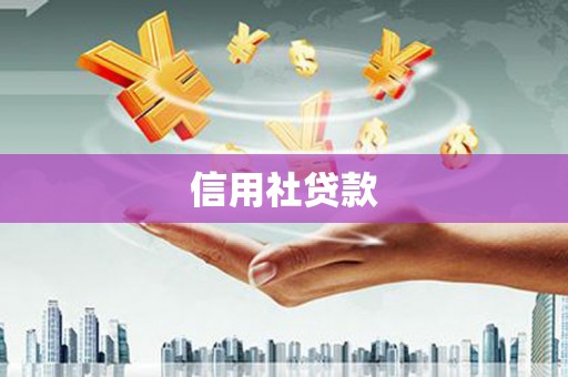 宝兴信用社贷款