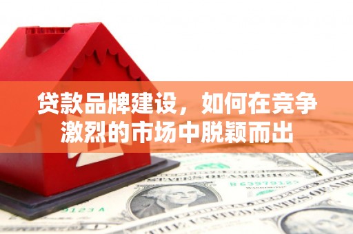 宝兴贷款品牌建设，如何在竞争激烈的市场中脱颖而出