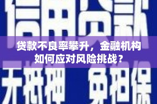 宝兴贷款不良率攀升，金融机构如何应对风险挑战？