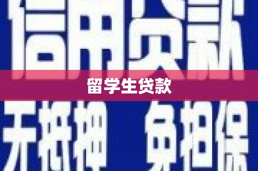 宝兴留学生贷款