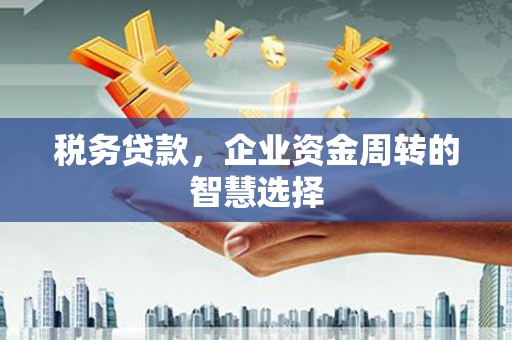 宝兴税务贷款，企业资金周转的智慧选择