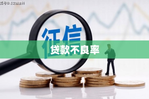 宝兴贷款不良率