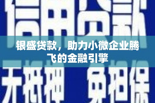 宝兴银盛贷款，助力小微企业腾飞的金融引擎