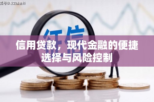 宝兴信用贷款，现代金融的便捷选择与风险控制