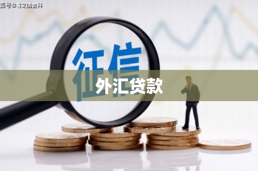 宝兴外汇贷款