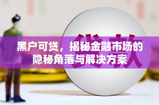 宝兴黑户可贷，揭秘金融市场的隐秘角落与解决方案
