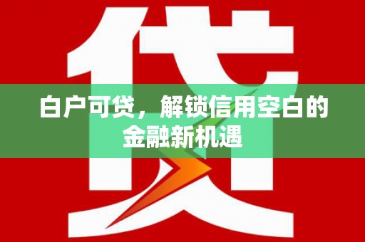 宝兴白户可贷，解锁信用空白的金融新机遇