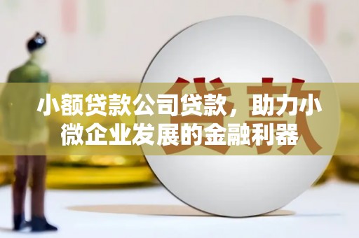宝兴小额贷款公司贷款，助力小微企业发展的金融利器