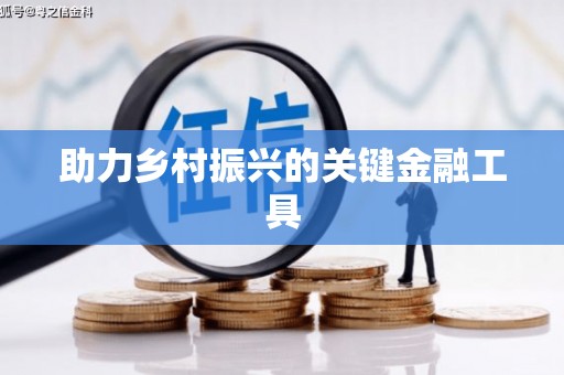 宝兴助力乡村振兴的关键金融工具
