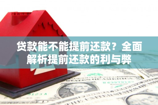 宝兴贷款能不能提前还款？全面解析提前还款的利与弊
