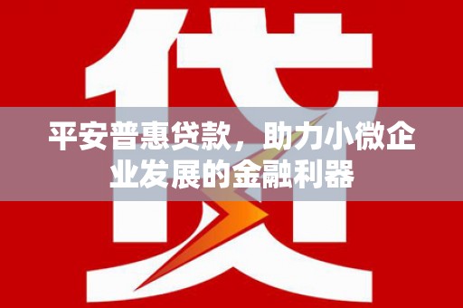 宝兴平安普惠贷款，助力小微企业发展的金融利器