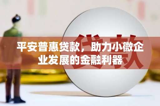 宝兴平安普惠贷款，助力小微企业发展的金融利器