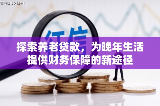 宝兴探索养老贷款，为晚年生活提供财务保障的新途径