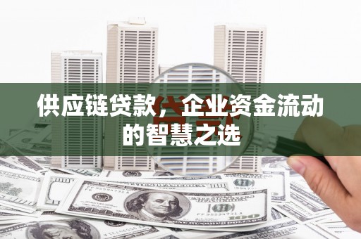 宝兴供应链贷款，企业资金流动的智慧之选