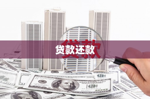宝兴贷款还款
