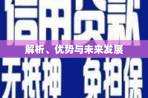 宝兴解析、优势与未来发展