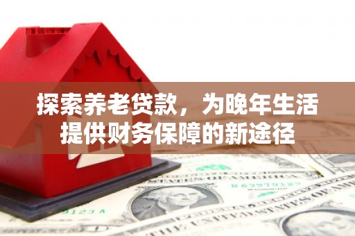 宝兴探索养老贷款，为晚年生活提供财务保障的新途径