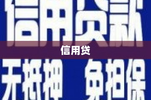 宝兴信用贷