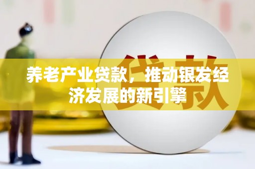宝兴养老产业贷款，推动银发经济发展的新引擎