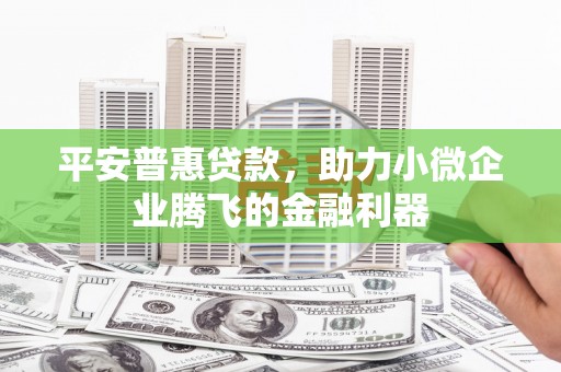 宝兴平安普惠贷款，助力小微企业腾飞的金融利器