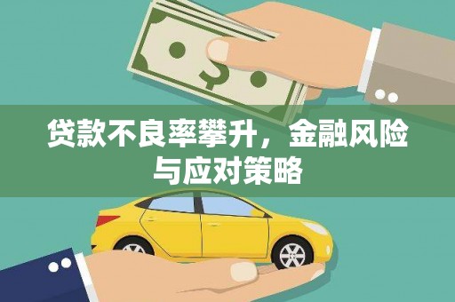 宝兴贷款不良率攀升，金融风险与应对策略